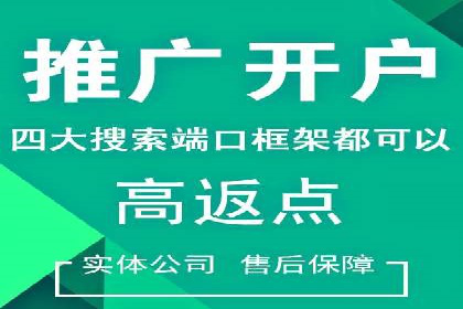 案例研究：百度推广托管助力电商品牌快速崛起