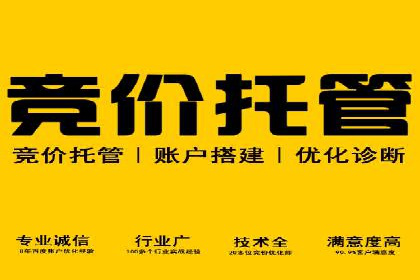 实战经验：SEM网络推广打造行业领军品牌