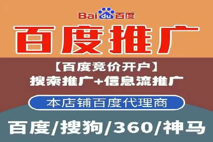案例研究：SEM开户助力电商快速崛起